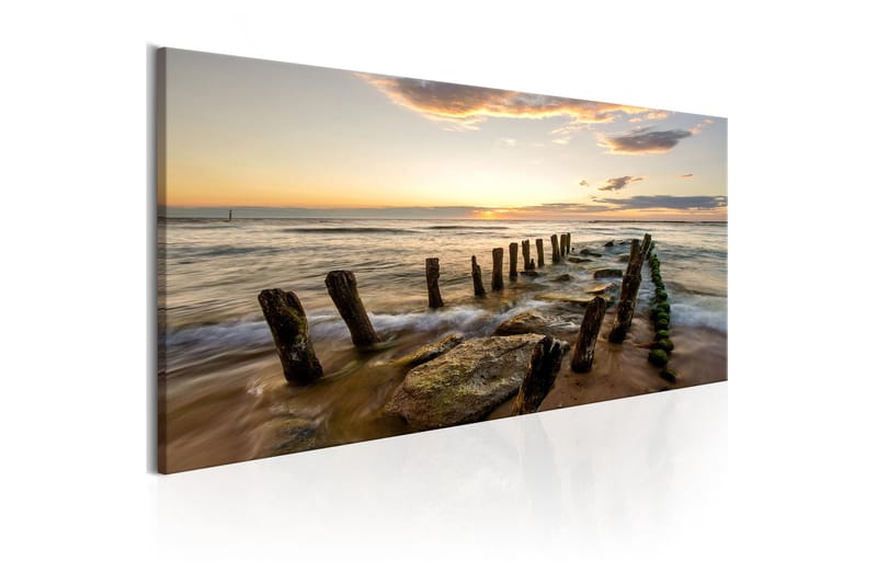 Tavla Wooden Breakwaters 150x50 - Interiør - Maleri & posters - Lerretsbilder
