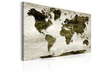 Tavla World Map: 60x40 Grön - Interiør - Maleri & posters - Lerretsbilder