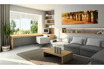 Tavla Park Covered With Golden Leaves 135x45 cm - Interiør - Maleri & posters - Lerretsbilder