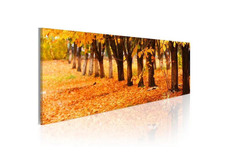Tavla Park Covered With Golden Leaves 135x45 cm