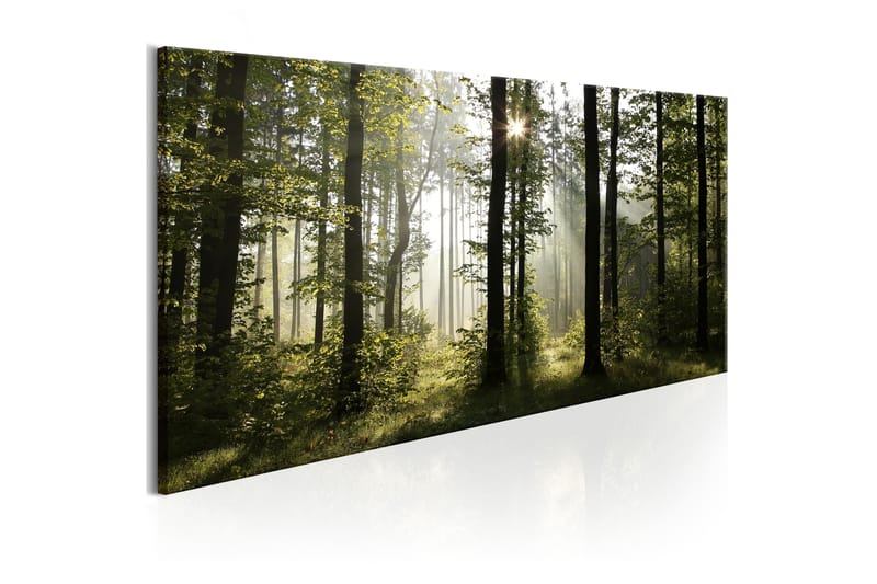 Tavle Beautiful Morning 120X60 - Artgeist sp. z o. o. - Lerretsbilder Tavle Beautiful Morning 120X60 - Artgeist sp. z o. o. - Lerretsbilder