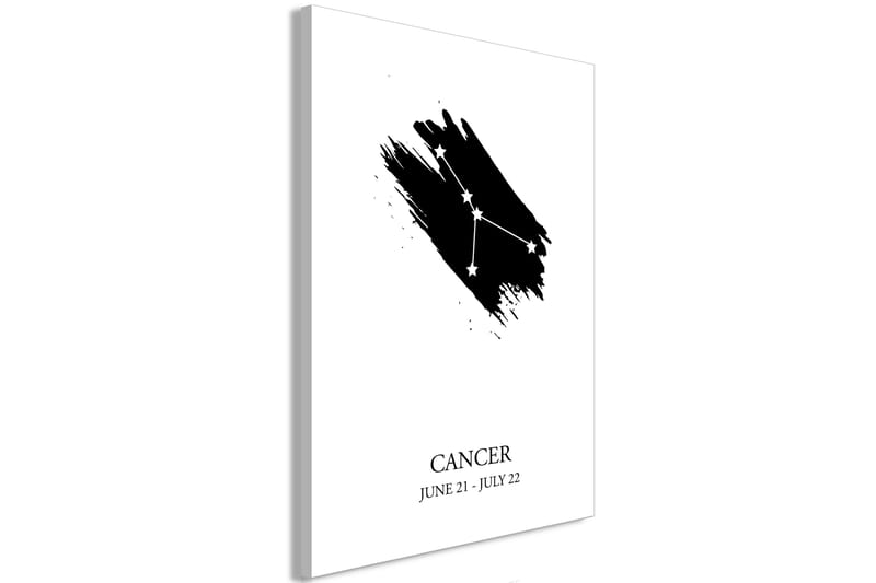 Tavle Zodiac Signs: Cancer (1 Part) Vertical 40X60 - Artgeist sp. z o. o. - Lerretsbilder