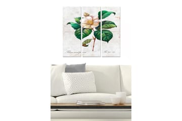 Trelerret 3-delt 50x70 cm - Blomst med grønne blader - Grønn / Hvit / Beige - Interiør - Maleri & posters - Lerretsbilder
