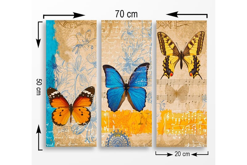 Trelerret 3-delt 50x70 cm - Fargerike sommerfugler i en kunstnerisk komposisjon - Blå / Oransje / Gul - Interiør - Maleri & posters - Lerretsbilder
