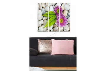 Trelerret 3-delt 50x70 cm - Nydelig komposisjon av blomster og steiner - Rosa / Grønn / Hvit - Interiør - Maleri & posters - Lerretsbilder