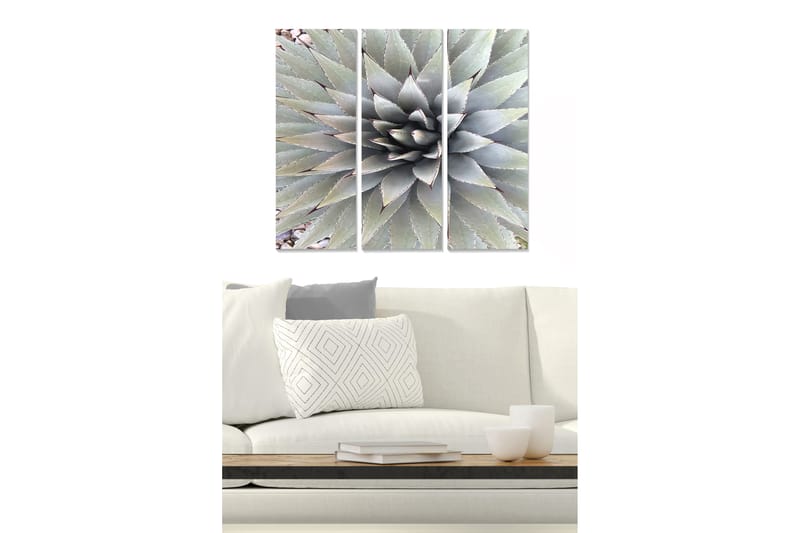 Trelerret 3-delt 50x70 cm - Symmetrisk komposisjon av agaveblader, Grønn / Grå / Beige