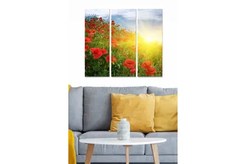 Trelerretsbilde 3-delt 50x70 cm - Blomsterfelt med røde valmuer ved soloppgang - Rød / Grønn / Gul - Interiør - Maleri & posters - Lerretsbilder