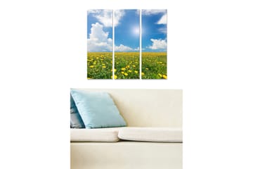Trelerretsbilde 3-delt 50x70 cm - Blomstrende åker med løvetann under en klar blå himmel - Gul / Grønn / Blå - Interiør - Maleri & posters - Lerretsbilder
