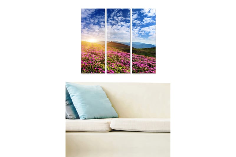 Trelerretsbilde 3-delt 50x70 cm - Blomstrende eng med fargerike blomster og en soloppgang i bakgrunnen, Rosa / Grønn / Blå