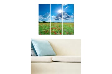 Trelerretsbilde 3-delt 50x70 cm - Blomstrende eng med røde og hvite blomster under en klar blå himmel - Grønn / Blå / Rød - Interiør - Maleri & posters - Lerretsbilder