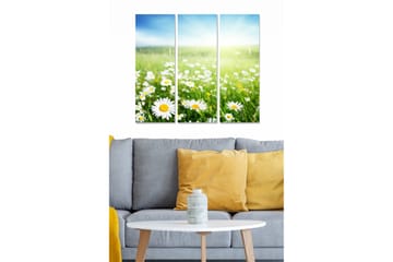 Trelerretsbilde 3-delt 50x70 cm - Blomstrende eng med tusenfryd - Grønn / Hvit / Blå - Interiør - Maleri & posters - Lerretsbilder