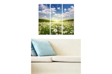 Trelerretsbilde 3-delt 50x70 cm - Blomstrende eng med tusenfryd under en klar himmel - Grønn / Blå / Hvit - Interiør - Maleri & posters - Lerretsbilder