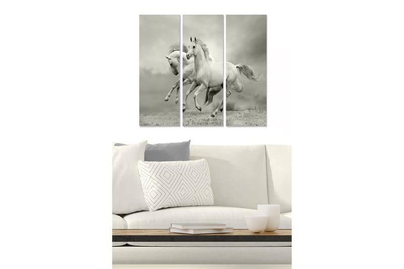 Trelerretsbilde 3-delt 50x70 cm - Dynamiske hester i bevegelse, Hvit / Grå