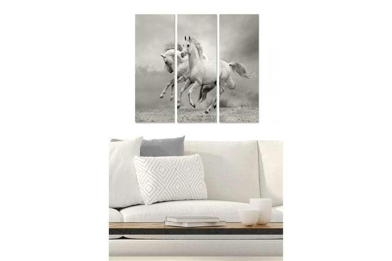 Trelerretsbilde 3-delt 50x70 cm - Dynamiske hester i bevegelse, Hvit / Grå
