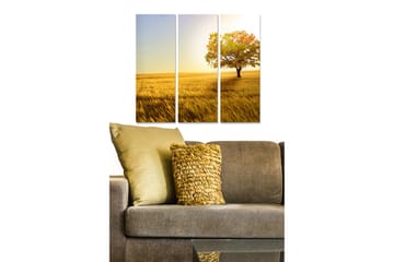 Trelerretsbilde 3-delt 50x70 cm - Ensomt tre i gylne åkre under en klar himmel - Gull / Grønn / Blå - Interiør - Maleri & posters - Lerretsbilder