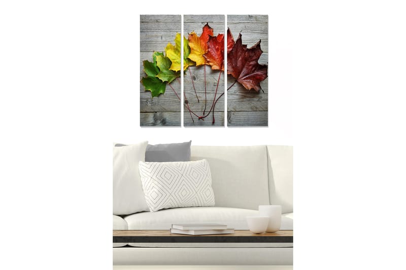 Trelerretsbilde 3-delt 50x70 cm - Fargerike høstblader på en treflate, Grønn / Gul / Rød