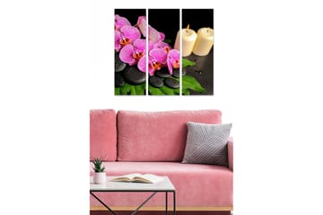 Trelerretsbilde 3-delt 50x70 cm - Fargerike orkideer med steiner og lys - Lilla / Svart / Grønn - Interiør - Maleri & posters - Lerretsbilder