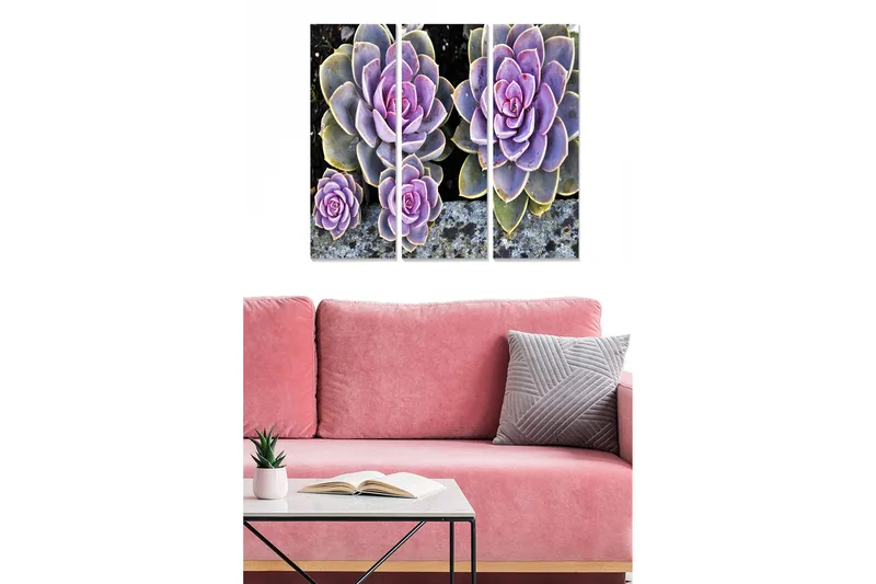 Trelerretsbilde 3-delt 50x70 cm - Fargerike sukkulenter i forskjellige nyanser, Lilla / Grønn / Grå