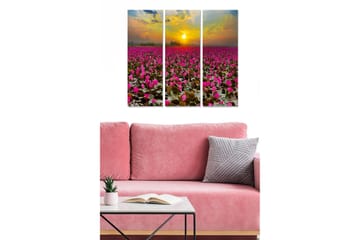Trelerretsbilde 3-delt 50x70 cm - Felt med rosa vannliljer under en solnedgang - Rosa / Grønn / Gul - Interiør - Maleri & posters - Lerretsbilder