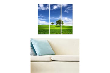 Trelerretsbilde 3-delt 50x70 cm - Frodig landskap med trær og blå himmel - Grønn / Blå - Interiør - Maleri & posters - Lerretsbilder
