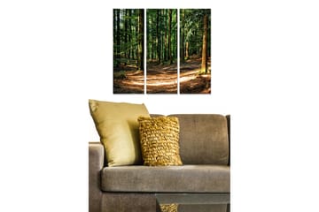 Trelerretsbilde 3-delt 50x70 cm - Frodig skog med solfylte stier - Grønn / Brun / Gul - Interiør - Maleri & posters - Lerretsbilder