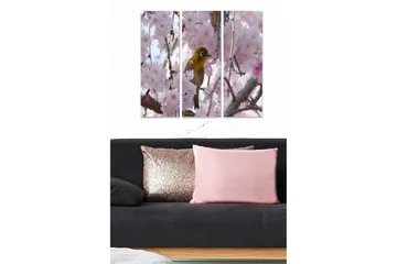 Trelerretsbilde 3-delt 50x70 cm - Fugl blant blomstrende kirsebærtrær - Rosa / Grønn / Brun - Interiør - Maleri & posters - Lerretsbilder