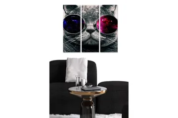 Trelerretsbilde 3-delt 50x70 cm - Grå katt med store solbriller som reflekterer en galakse - Grå / Lilla / Rosa - Interiør - Maleri & posters - Lerretsbilder