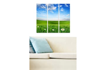 Trelerretsbilde 3-delt 50x70 cm - Grønn eng med hvite blomster og blå himmel - Grønn / Blå / Hvit - Interiør - Maleri & posters - Lerretsbilder