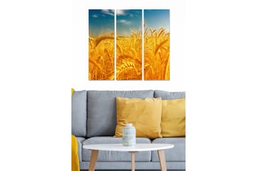 Trelerretsbilde 3-delt 50x70 cm - Gyldne hveteåkre under en klar himmel - Gull / Blå - Interiør - Maleri & posters - Lerretsbilder