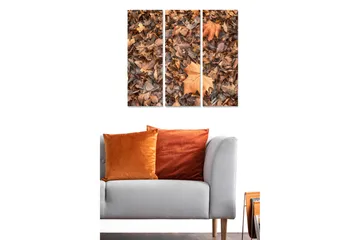 Trelerretsbilde 3-delt 50x70 cm - Høstblader i forskjellige nyanser av brunt og oransje - Brun / Oransje / Beige - Interiør - Maleri & posters - Lerretsbilder