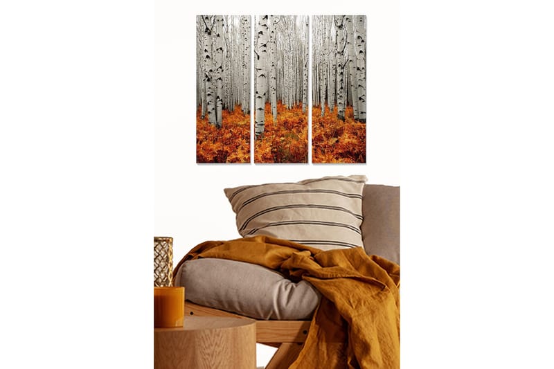 Trelerretsbilde 3-delt 50x70 cm - Høstskog med hvite bjørker og oransje bregner, Hvit / Oransje