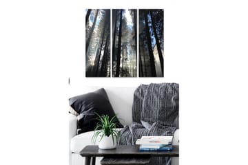 Trelerretsbilde 3-delt 50x70 cm - Høye trær som strekker seg mot en tåkete himmel - Mørk grønn / Svart / Lys blå - Interiør - Maleri & posters - Lerretsbilder