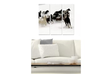 Trelerretsbilde 3-delt 50x70 cm - Hester galopperer gjennom snøen - Hvit / Svart / Brun - Interiør - Maleri & posters - Lerretsbilder