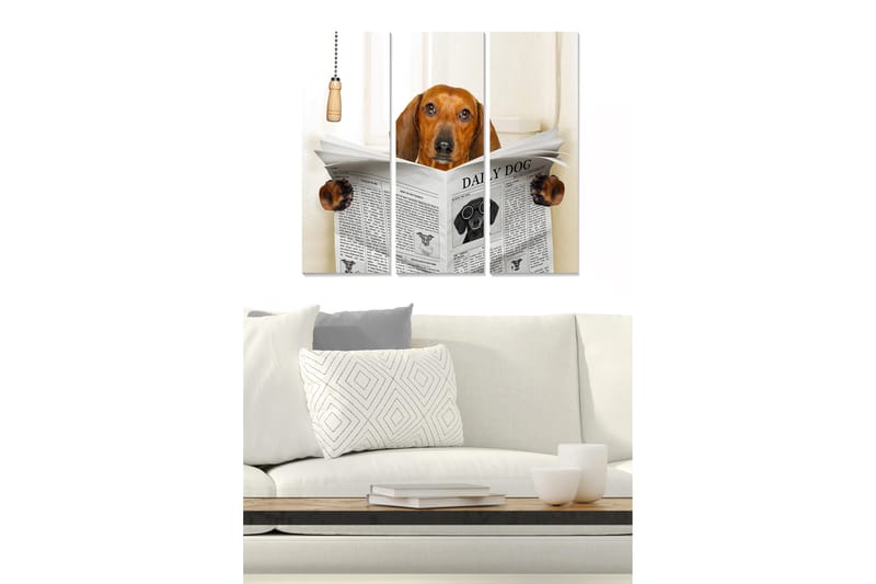 Trelerretsbilde 3-delt 50x70 cm - Hund som leser avisen med nysgjerrighet, Brun / Svart / Hvit
