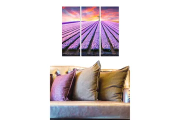 Trelerretsbilde 3-delt 50x70 cm - Lavendelåkrer under en fargerik himmel - Lilla / Grønn / Oransje - Interiør - Maleri & posters - Lerretsbilder