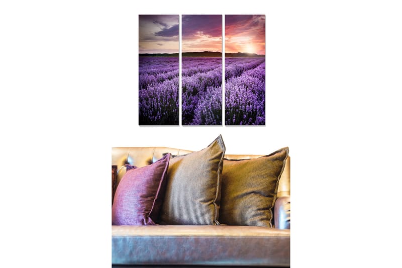 Trelerretsbilde 3-delt 50x70 cm - Lavendelåkrer under en fargerik solnedgang, Lilla / Rosa / Grønn