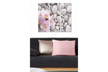 Trelerretsbilde 3-delt 50x70 cm - Lyserosa orkideer blant grå steiner - Lys rosa / Grå / Hvit - Interiør - Maleri & posters - Lerretsbilder