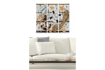 Trelerretsbilde 3-delt 50x70 cm - Marint stilleben med skjell, stjerneformet sjøstjerne og livbøye - Beige / Blå / Brun - Interiør - Maleri & posters - Lerretsbilder