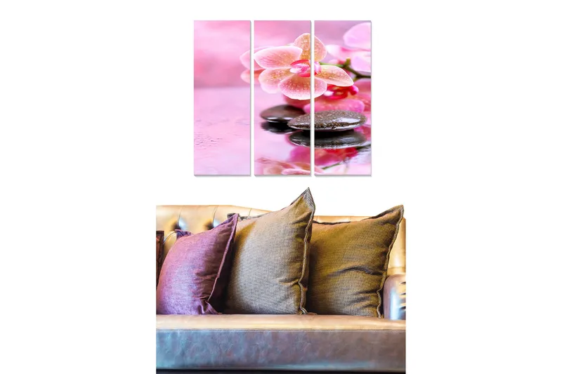 Trelerretsbilde 3-delt 50x70 cm - Nydelig orkide med steiner i vann, Rosa / Svart / Grønn
