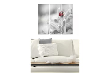 Trelerretsbilde 3-delt 50x70 cm - Rød marihøne på en grønn plante - Rød / Grønn / Svart - Interiør - Maleri & posters - Lerretsbilder