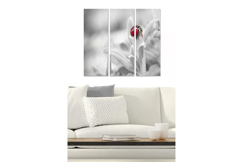 Trelerretsbilde 3-delt 50x70 cm - Rød marihøne på en grønn plante, Rød / Grønn / Svart