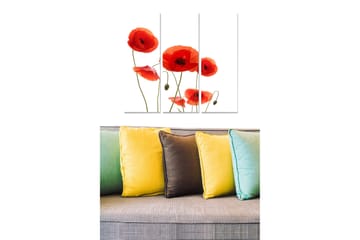 Trelerretsbilde 3-delt 50x70 cm - Rød valmue i en stilig komposisjon - Rød / Grønn - Interiør - Maleri & posters - Lerretsbilder