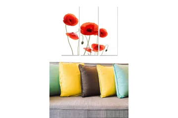 Trelerretsbilde 3-delt 50x70 cm - Rød valmue i en stilig komposisjon - Rød / Grønn - Interiør - Maleri & posters - Lerretsbilder