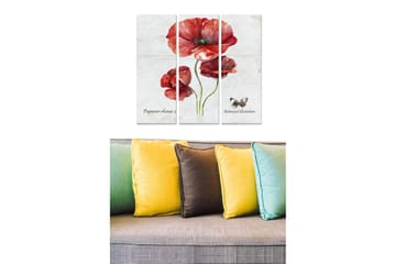 Trelerretsbilde 3-delt 50x70 cm - Rød valmue med botanisk illustrasjon - Rød / Grønn / Beige - Interiør - Maleri & posters - Lerretsbilder