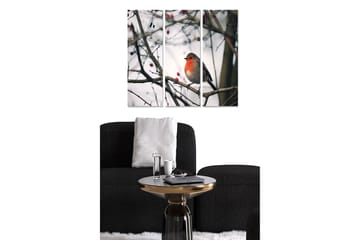 Trelerretsbilde 3-delt 50x70 cm - Rødbrystet fugl på en gren med bær - Grå / Rød / Brun - Interiør - Maleri & posters - Lerretsbilder