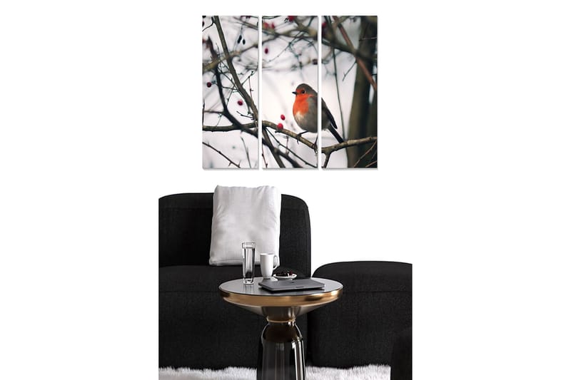 Trelerretsbilde 3-delt 50x70 cm - Rødbrystet fugl på en gren med bær, Grå / Rød / Brun