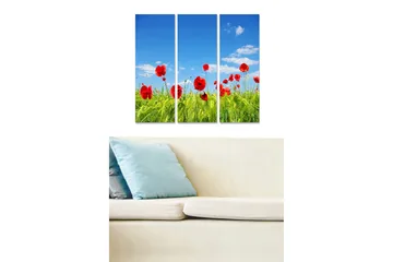 Trelerretsbilde 3-delt 50x70 cm - Røde valmuer i en grønn eng under en klar blå himmel - Rød / Grønn / Blå - Interiør - Maleri & posters - Lerretsbilder