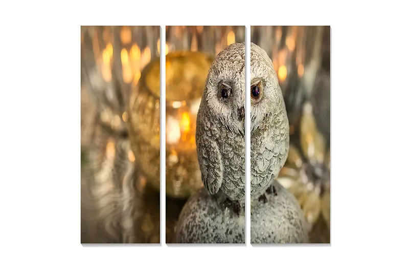 Trelerretsbilde 3-delt 50x70 cm - Realistisk ugle i gråtoner, Grå / Beige / Brun