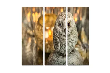 Trelerretsbilde 3-delt 50x70 cm - Realistisk ugle i gråtoner - Grå / Beige / Brun - Interiør - Maleri & posters - Lerretsbilder