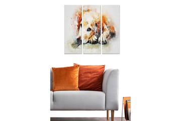 Trelerretsbilde 3-delt 50x70 cm - Rolig hund som hviler med hodet på potene - Oransje / Hvit / Svart - Interiør - Maleri & posters - Lerretsbilder